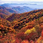 بيت للعطل L'or Des Cevennes Saint-Andre-Capceze