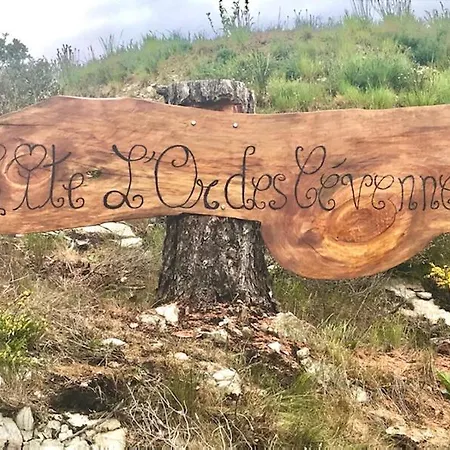 L'or Des Cevennes