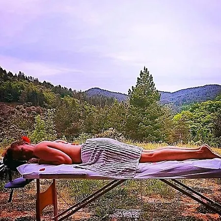 L'or Des Cevennes Holiday home Saint-Andre-Capceze