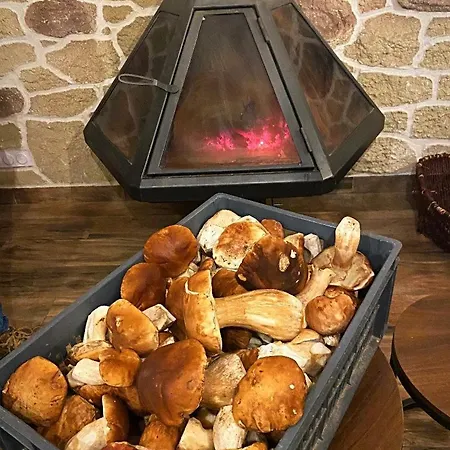 L'or Des Cevennes Saint-Andre-Capceze